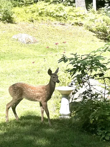 404 Bee Hole Road Loudon NH 03307