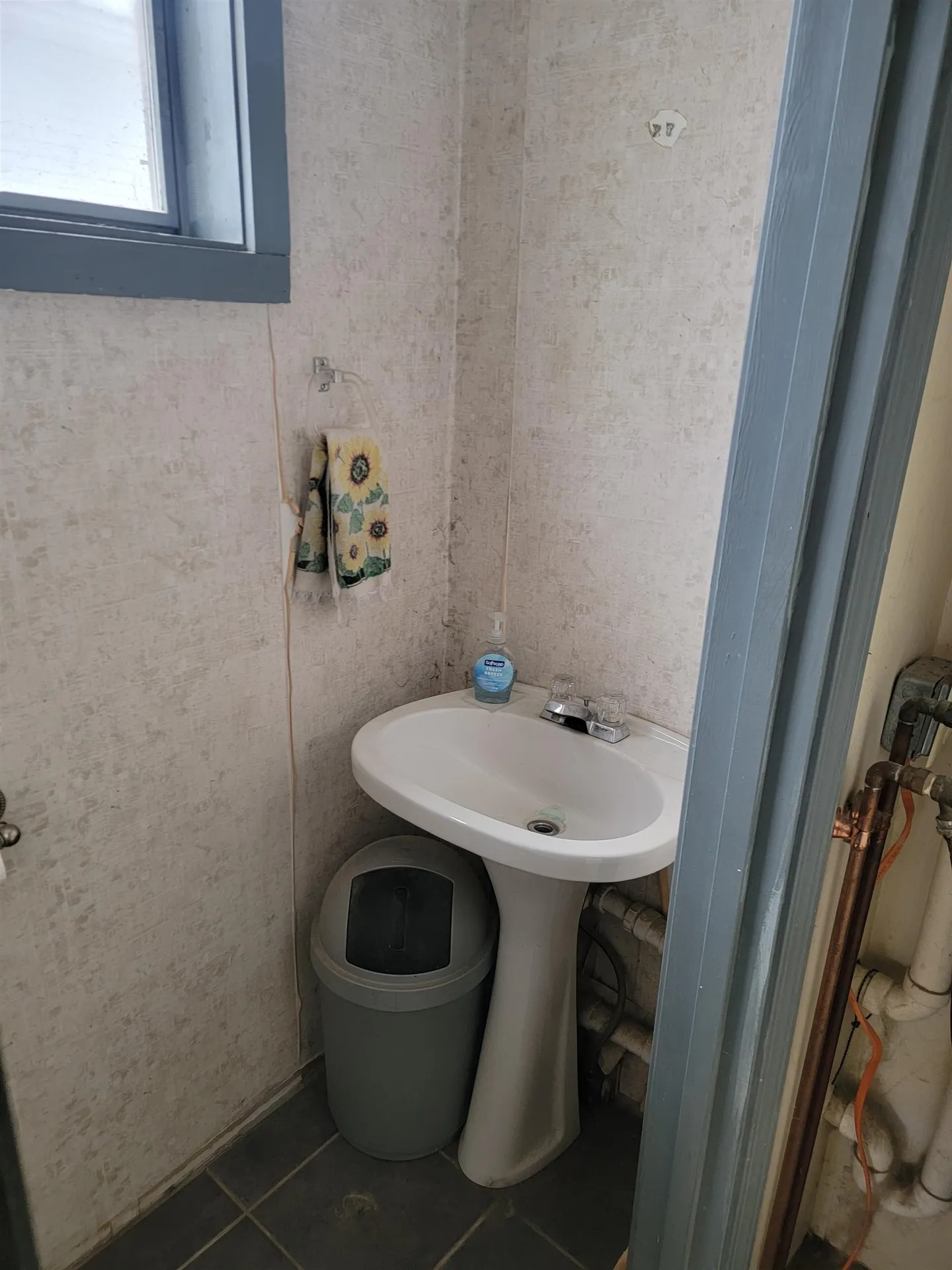 271 Lake Street Bristol NH 03222