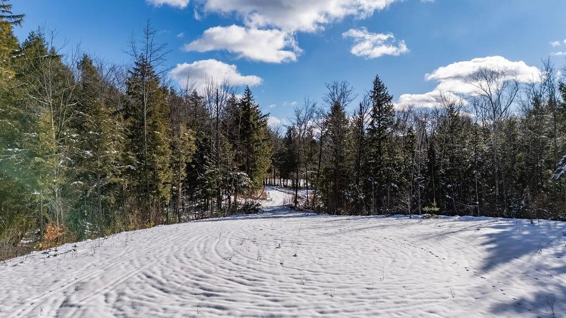 Lot 3 Kimpton Brook Road Wilmot NH 03287