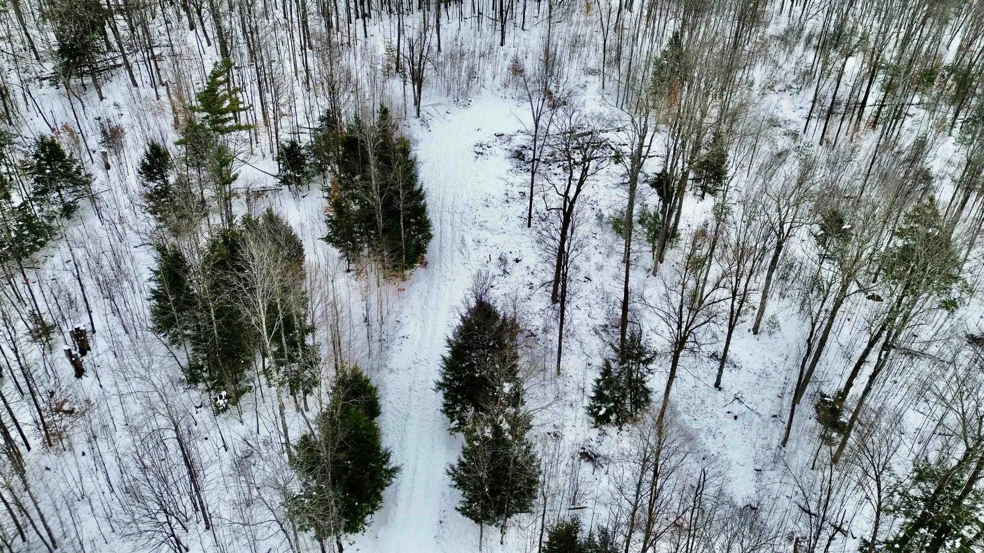 21 Ladieu Road Plainfield NH 03781