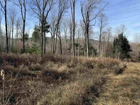 21 Ladieu Road Plainfield NH 03781