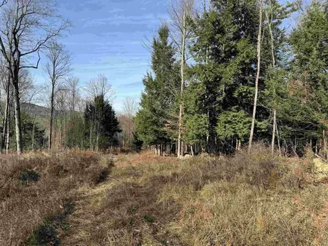 21 Ladieu Road Plainfield NH 03781