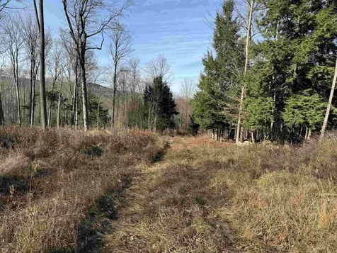 21 Ladieu Road Plainfield NH 03781