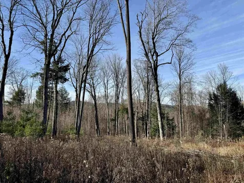 21 Ladieu Road Plainfield NH 03781