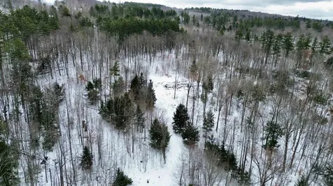 21 Ladieu Road Plainfield NH 03781