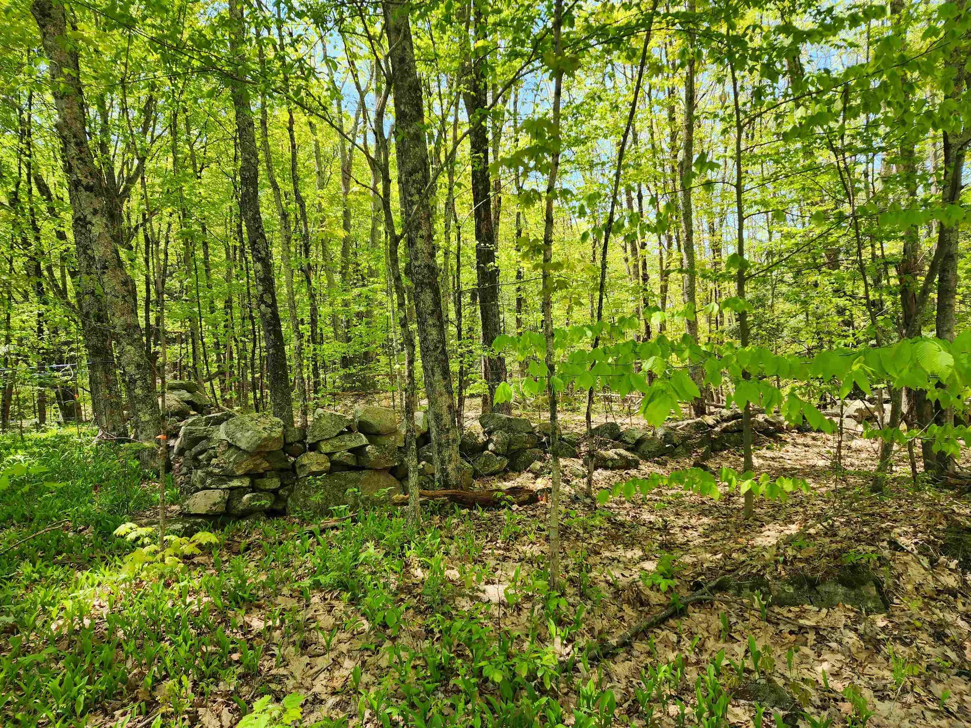 000 South Village Road Westmoreland NH 03467