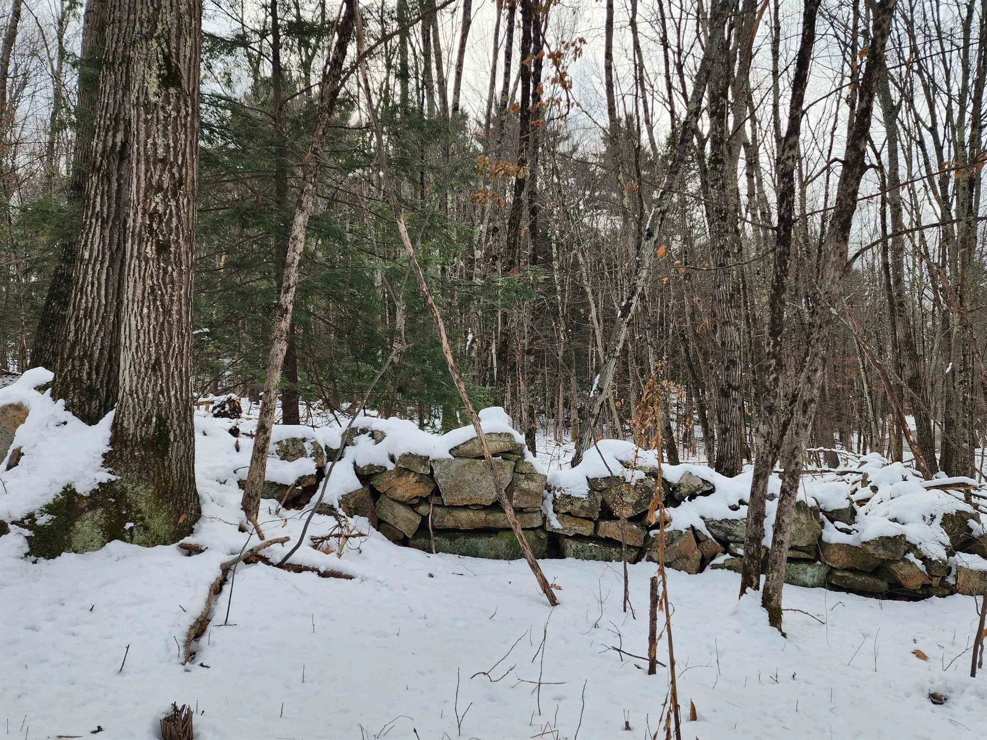 000 South Village Road Westmoreland NH 03467