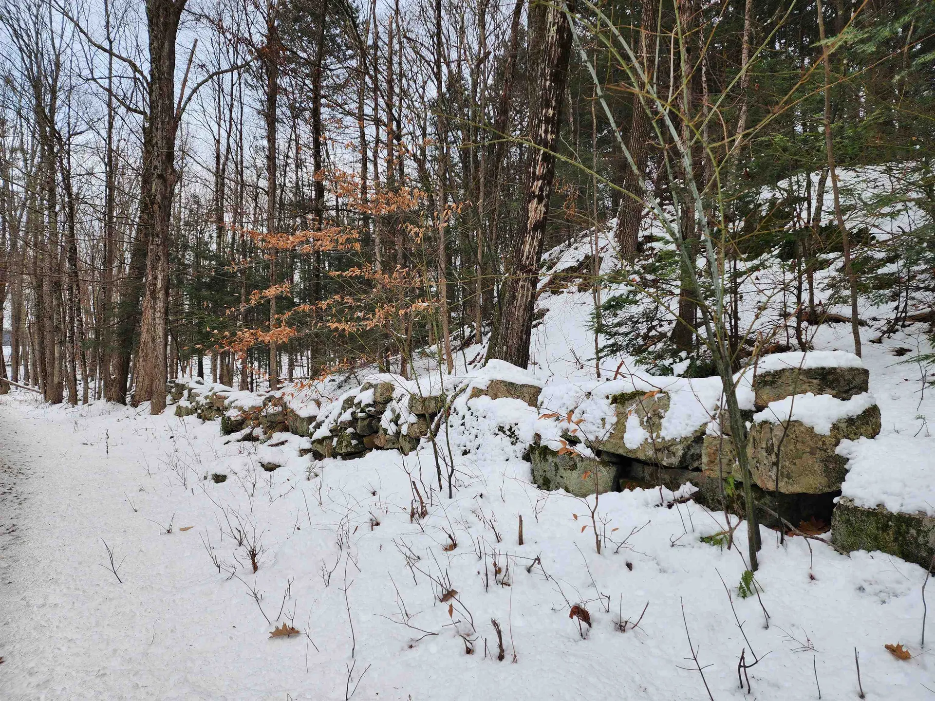 000 South Village Road Westmoreland NH 03467