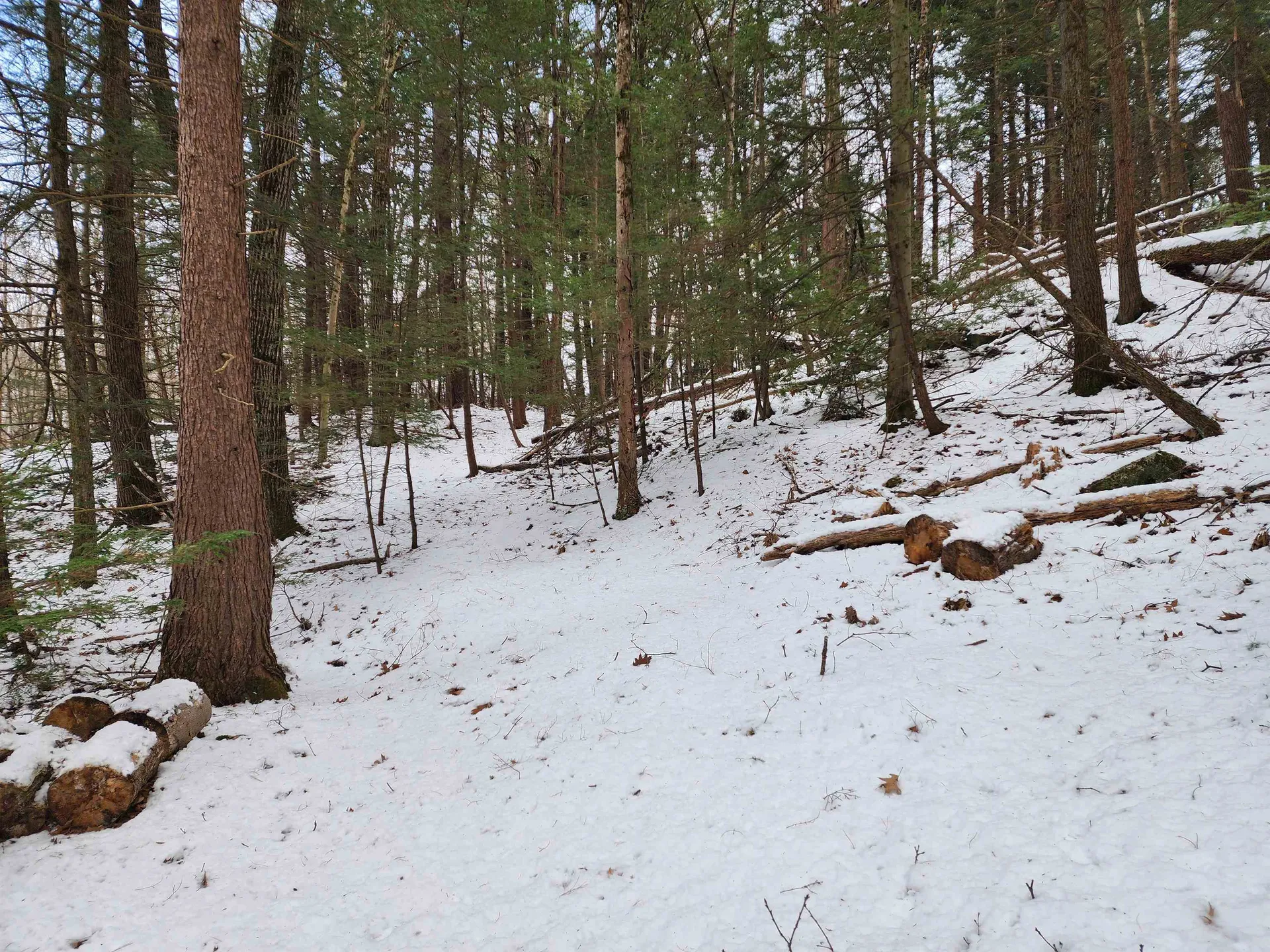 000 South Village Road Westmoreland NH 03467