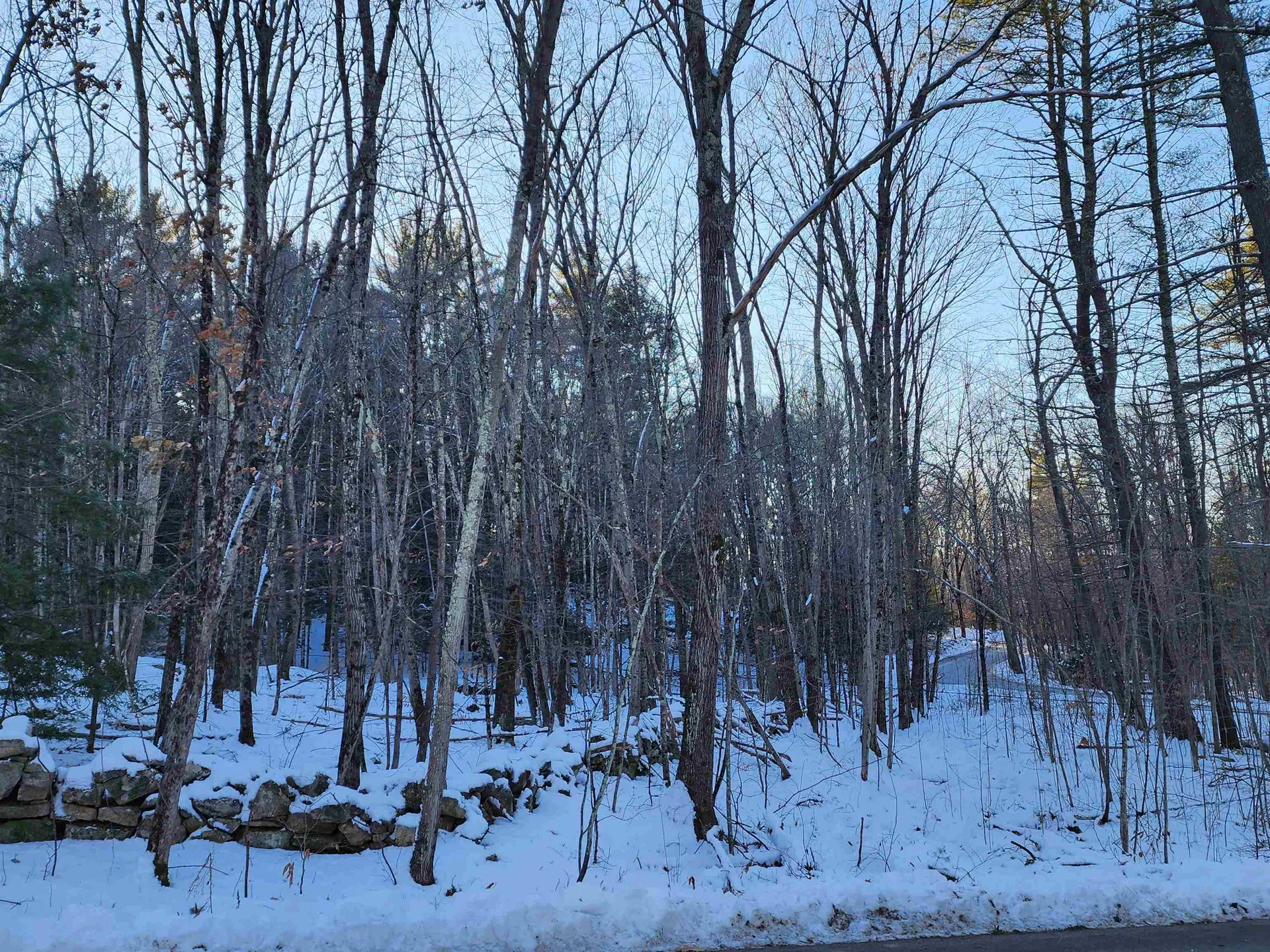 000 South Village Road Westmoreland NH 03467