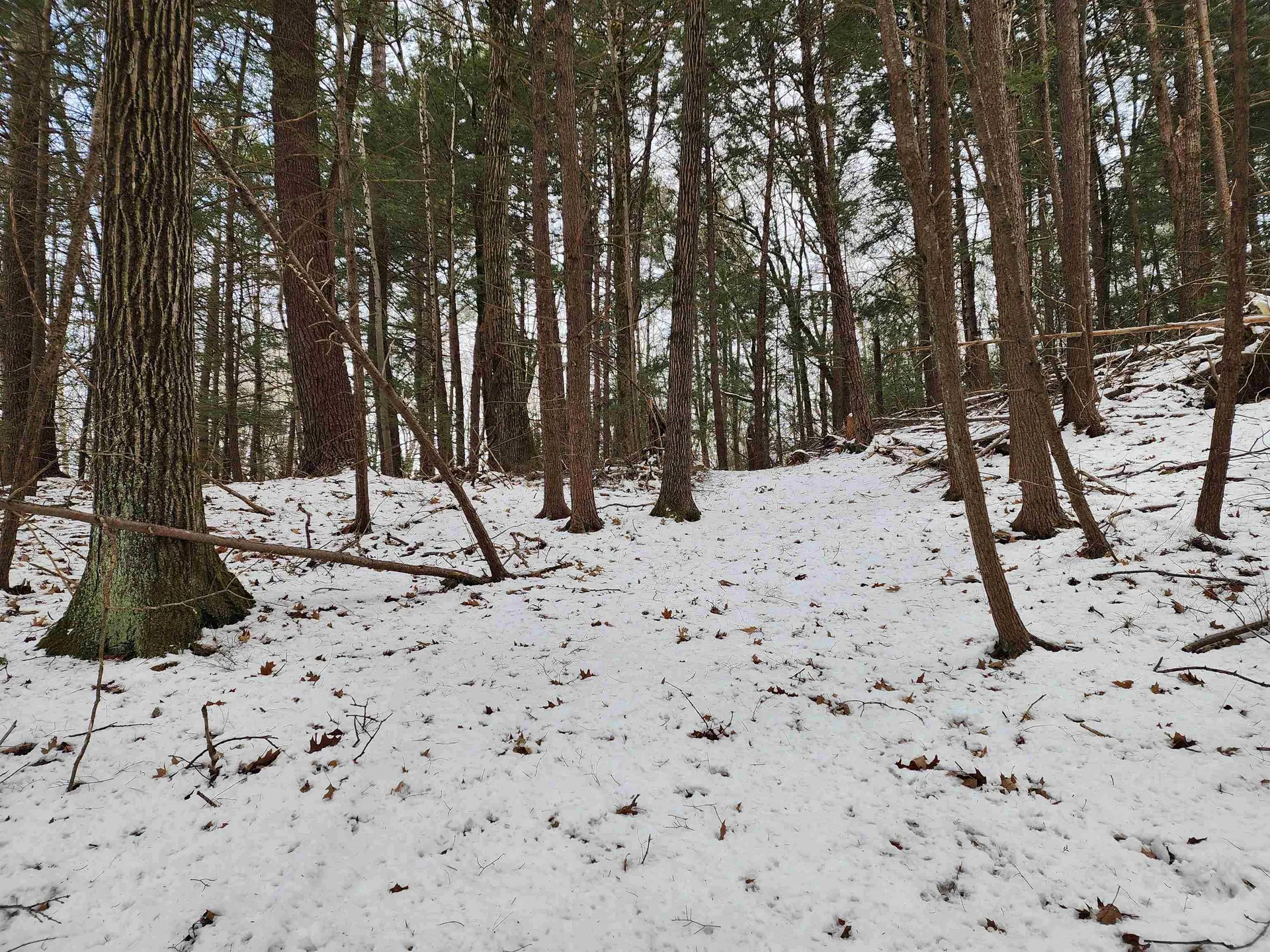 000 South Village Road Westmoreland NH 03467