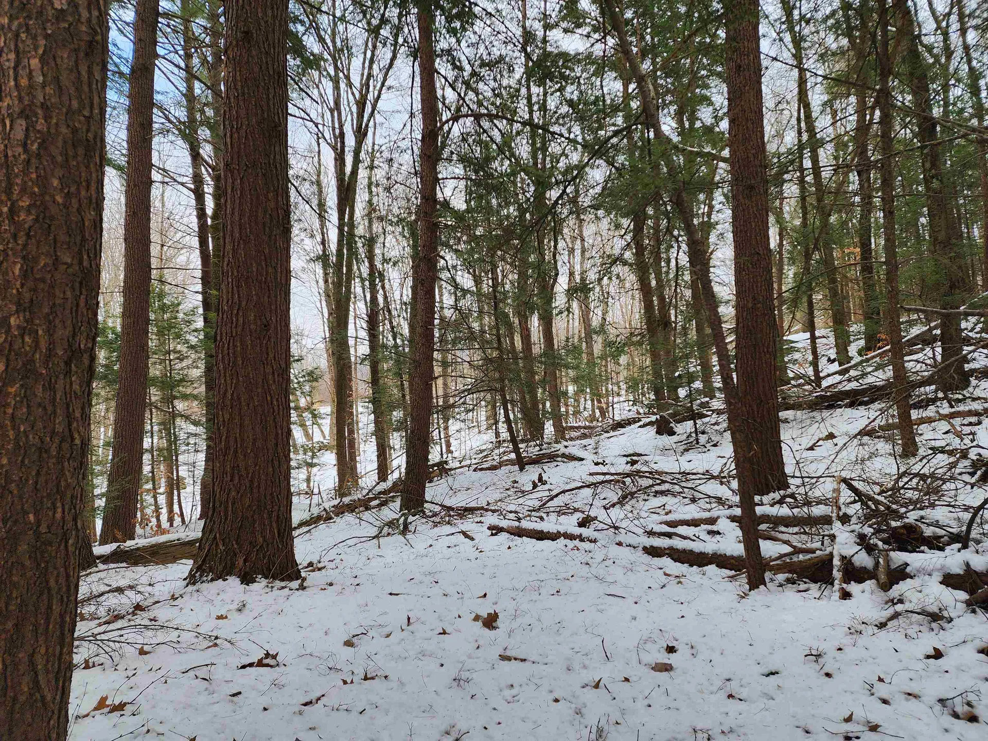 000 South Village Road Westmoreland NH 03467