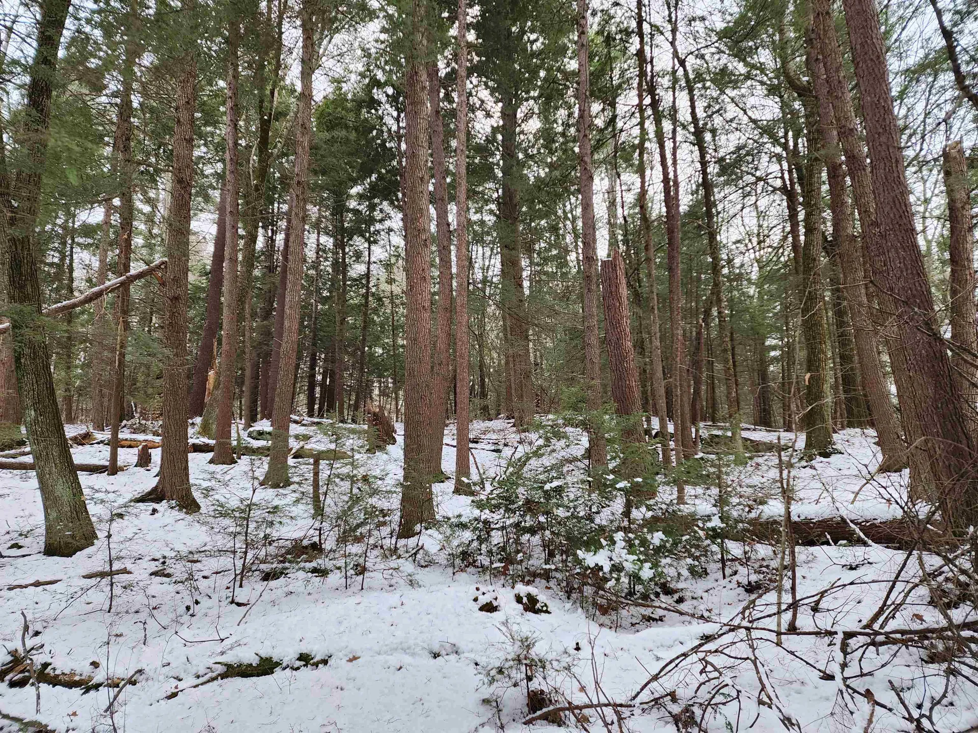 000 South Village Road Westmoreland NH 03467