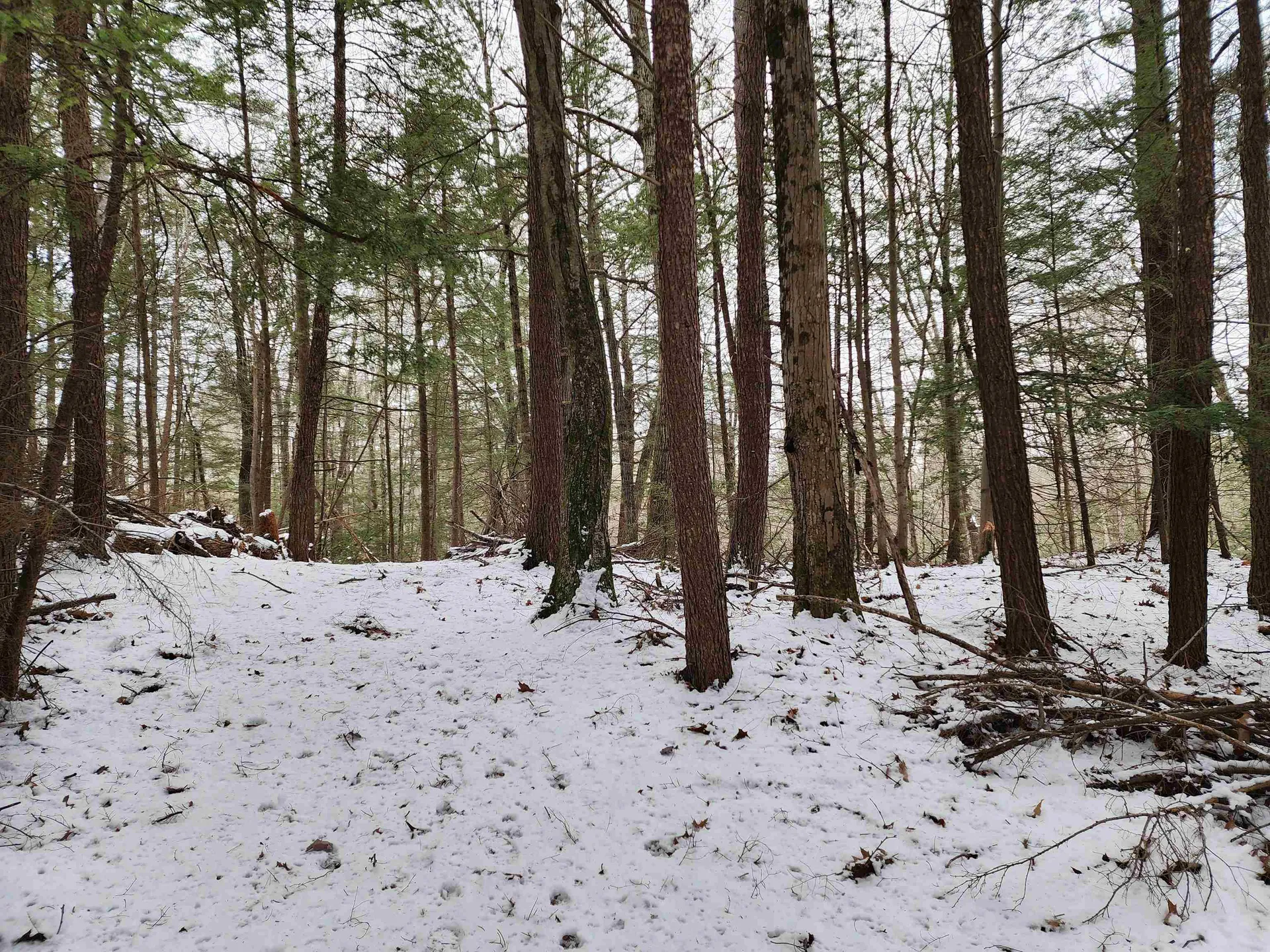 000 South Village Road Westmoreland NH 03467