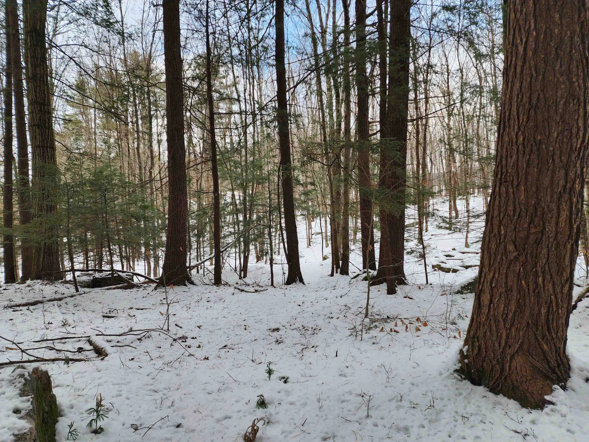 000 South Village Road Westmoreland NH 03467