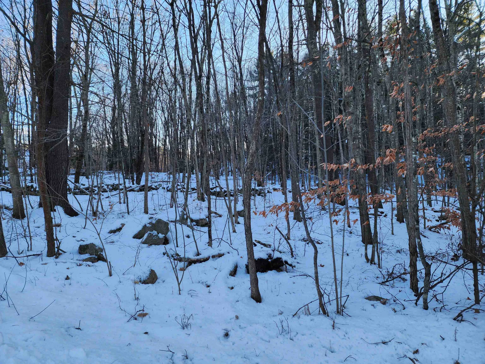 000 South Village Road Westmoreland NH 03467