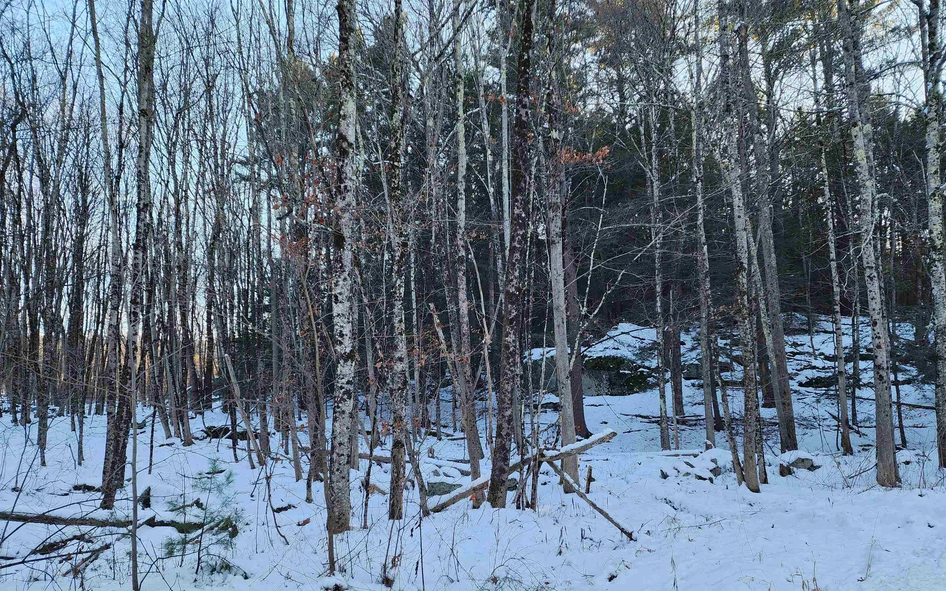 000 South Village Road Westmoreland NH 03467