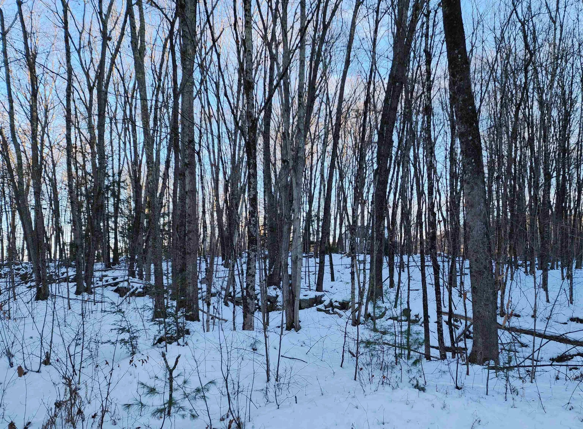 000 South Village Road Westmoreland NH 03467