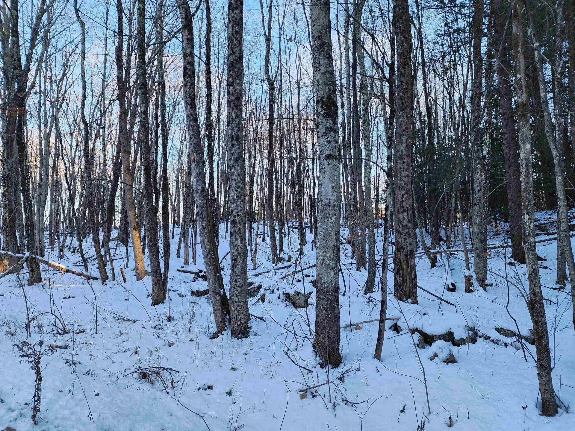 000 South Village Road Westmoreland NH 03467