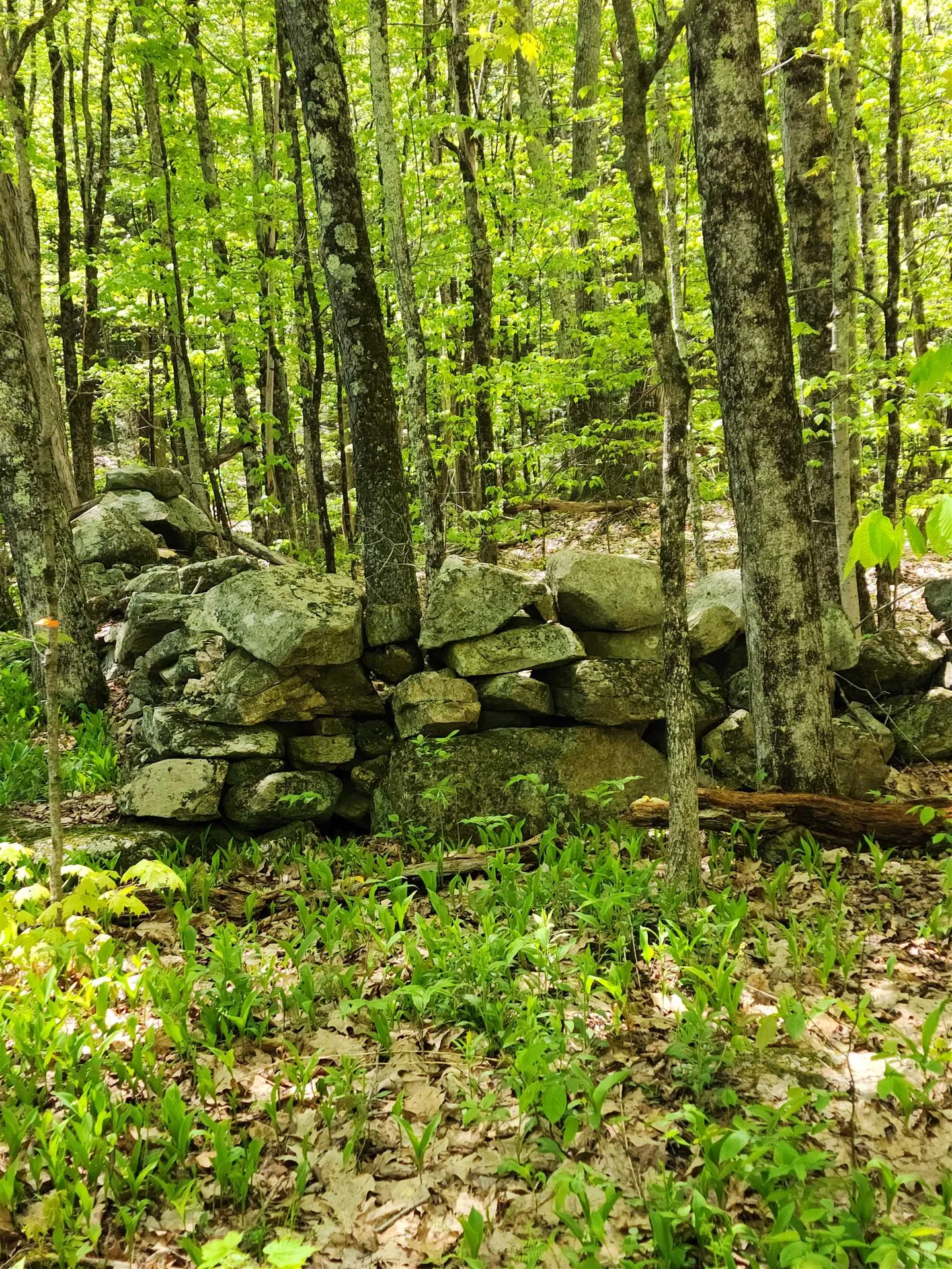 000 South Village Road Westmoreland NH 03467