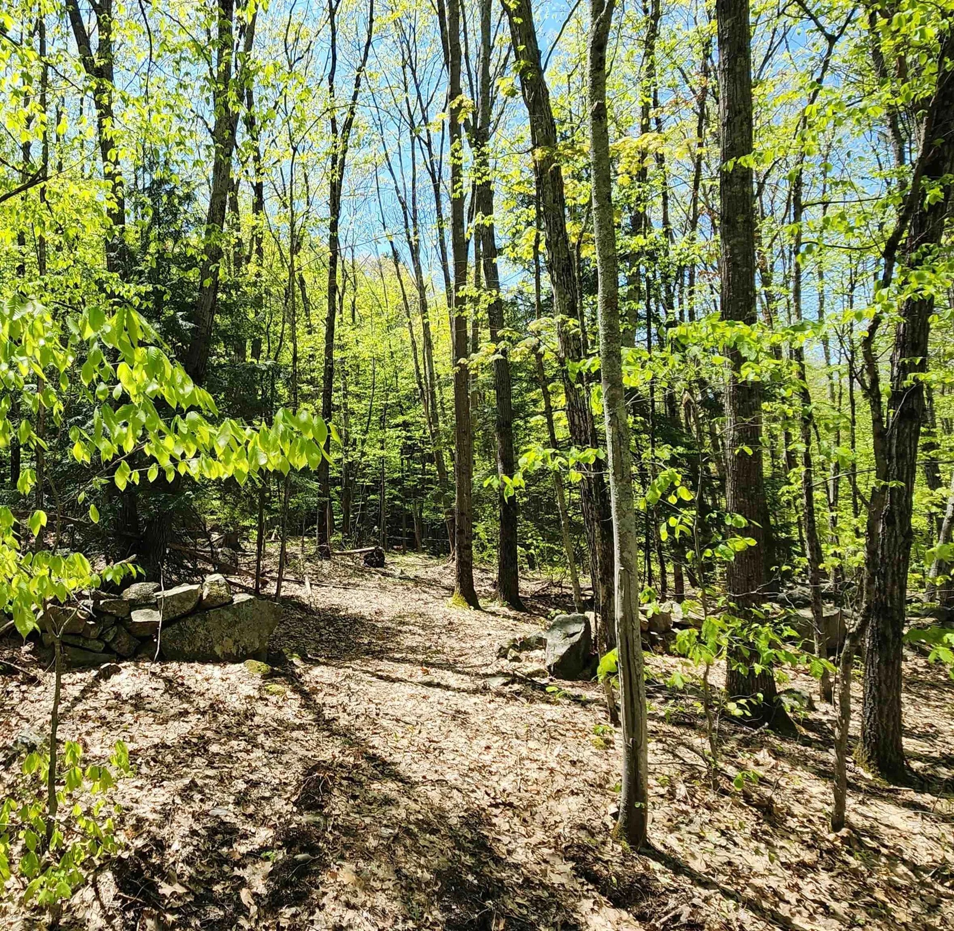 000 South Village Road Westmoreland NH 03467