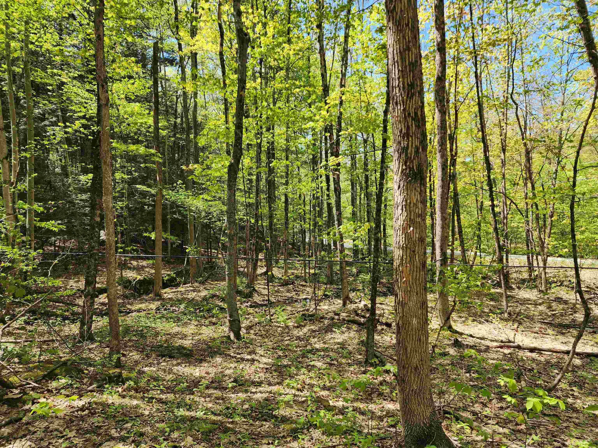 000 South Village Road Westmoreland NH 03467