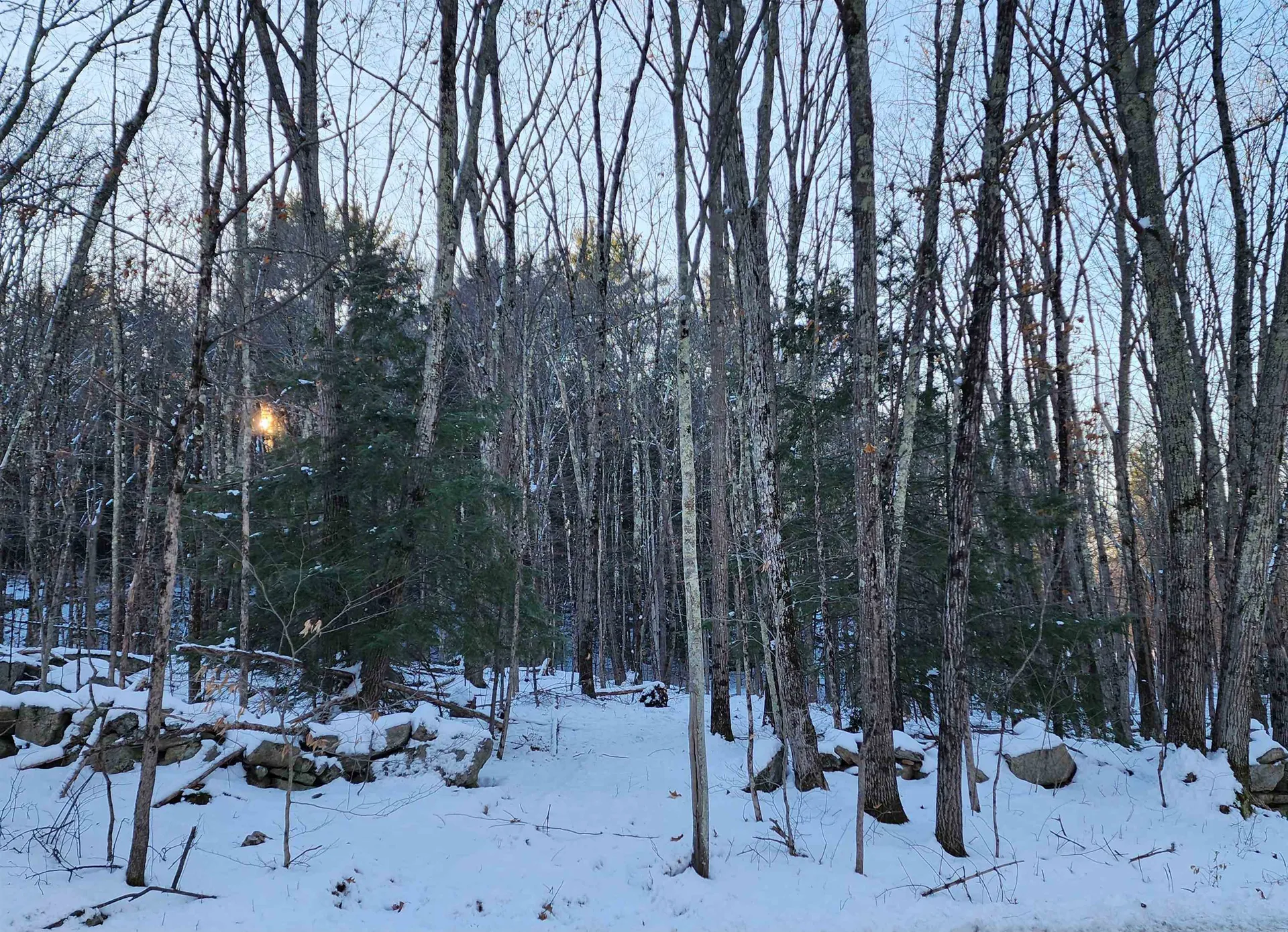 000 South Village Road Westmoreland NH 03467