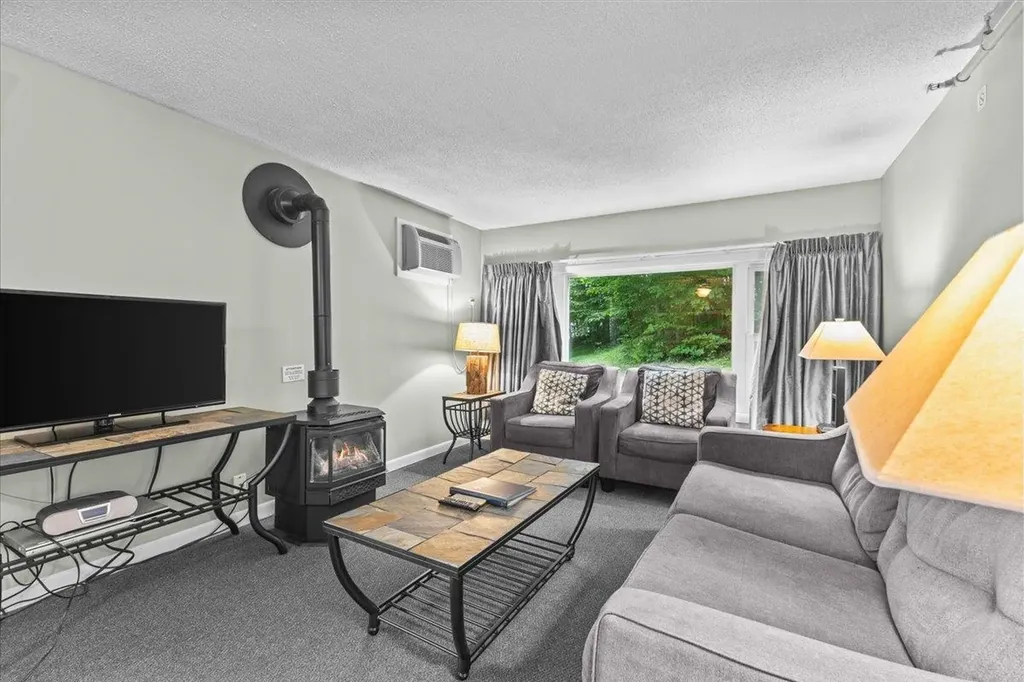 220 Mountainside Drive Stowe VT 05672