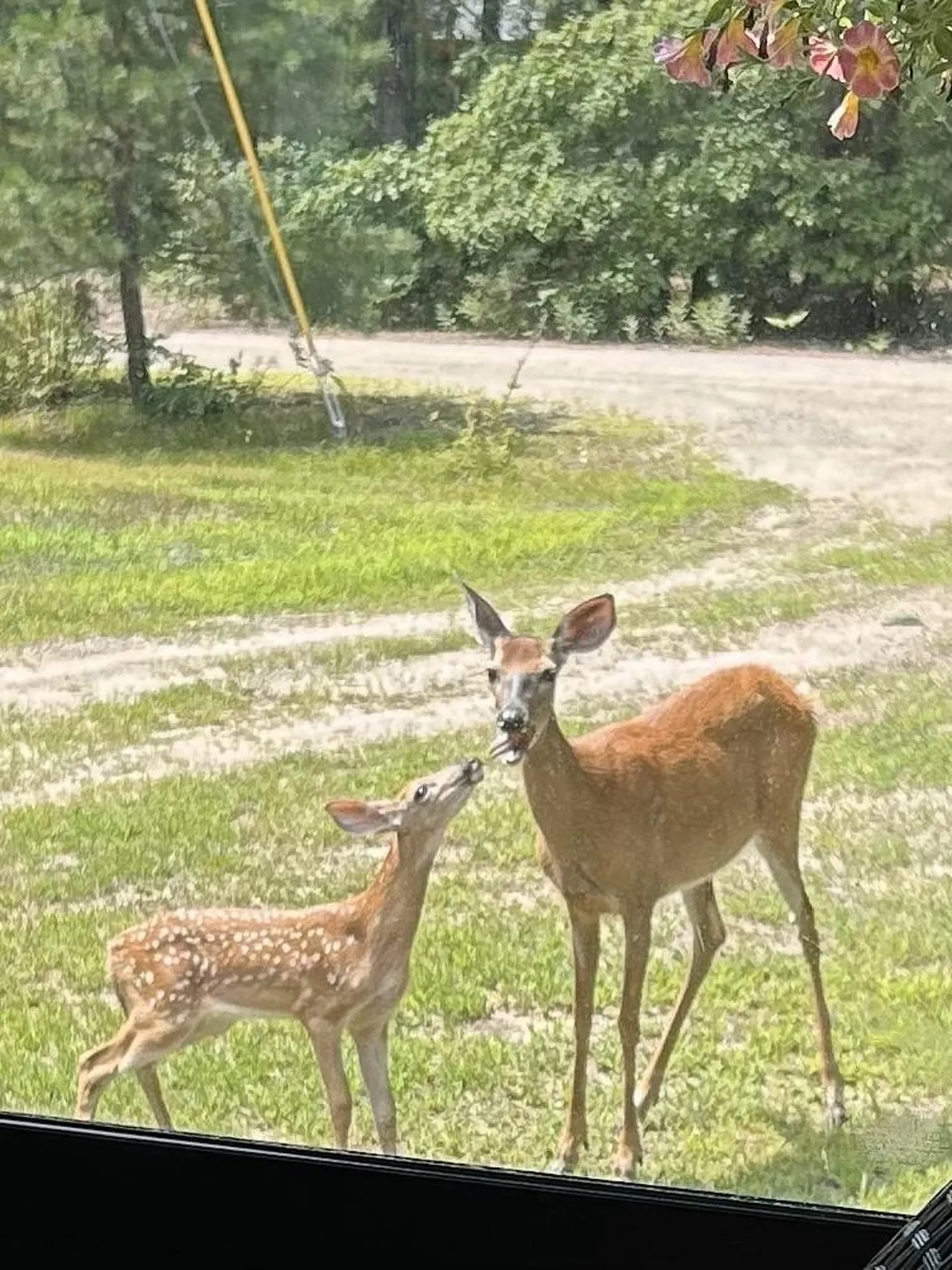 18 Sundance Drive Freedom NH 03836