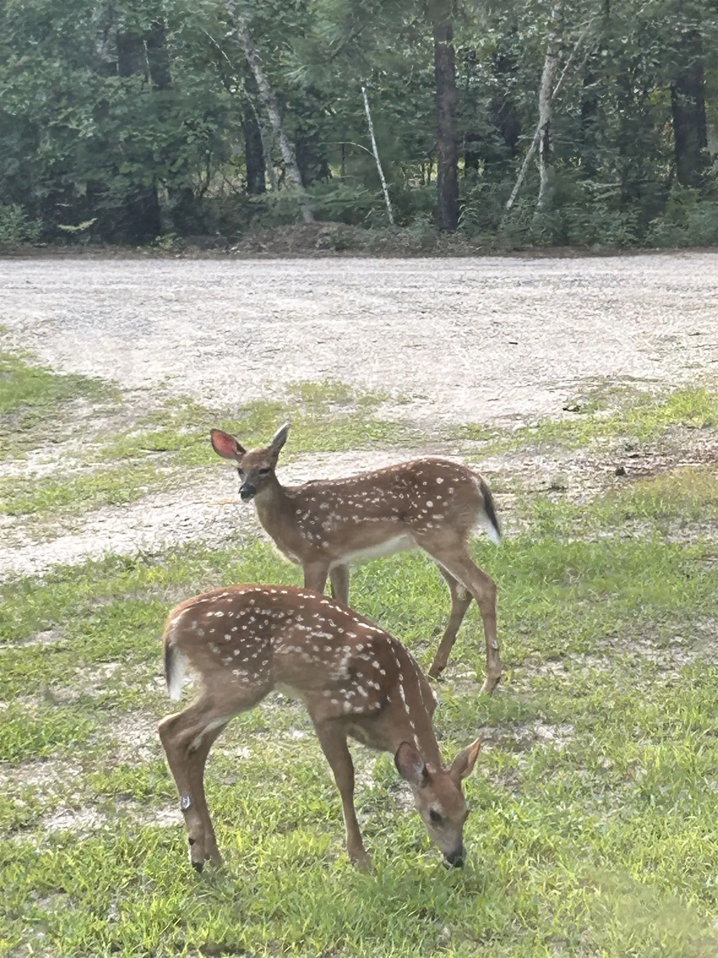 18 Sundance Drive Freedom NH 03836