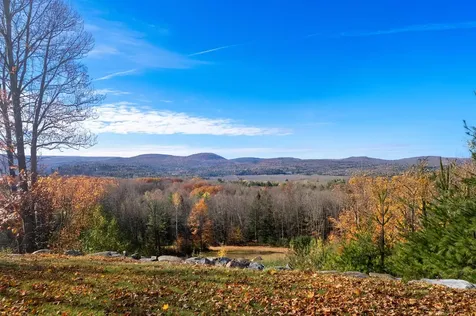 196 Old Ice House Lane Brandon VT 05733