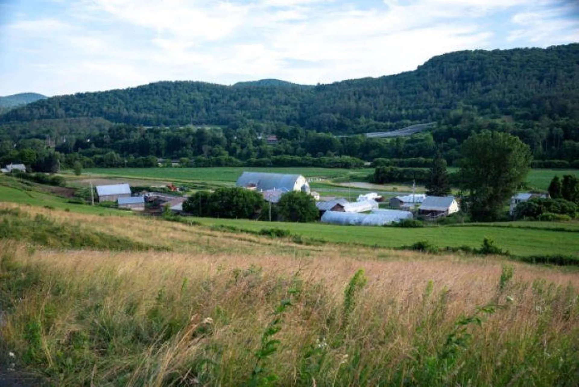 86 Vt Route 14 Royalton VT 05068