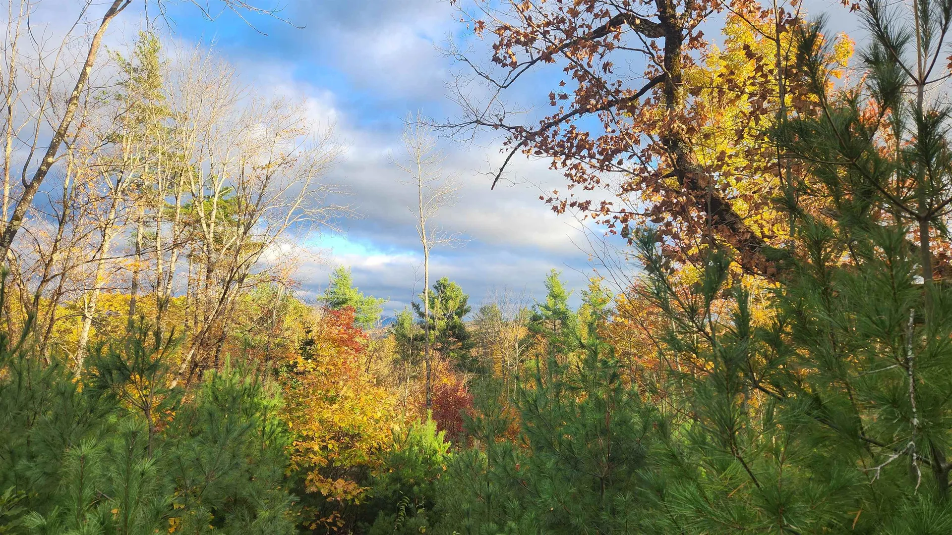 00 Route 302 Newbury VT 05051