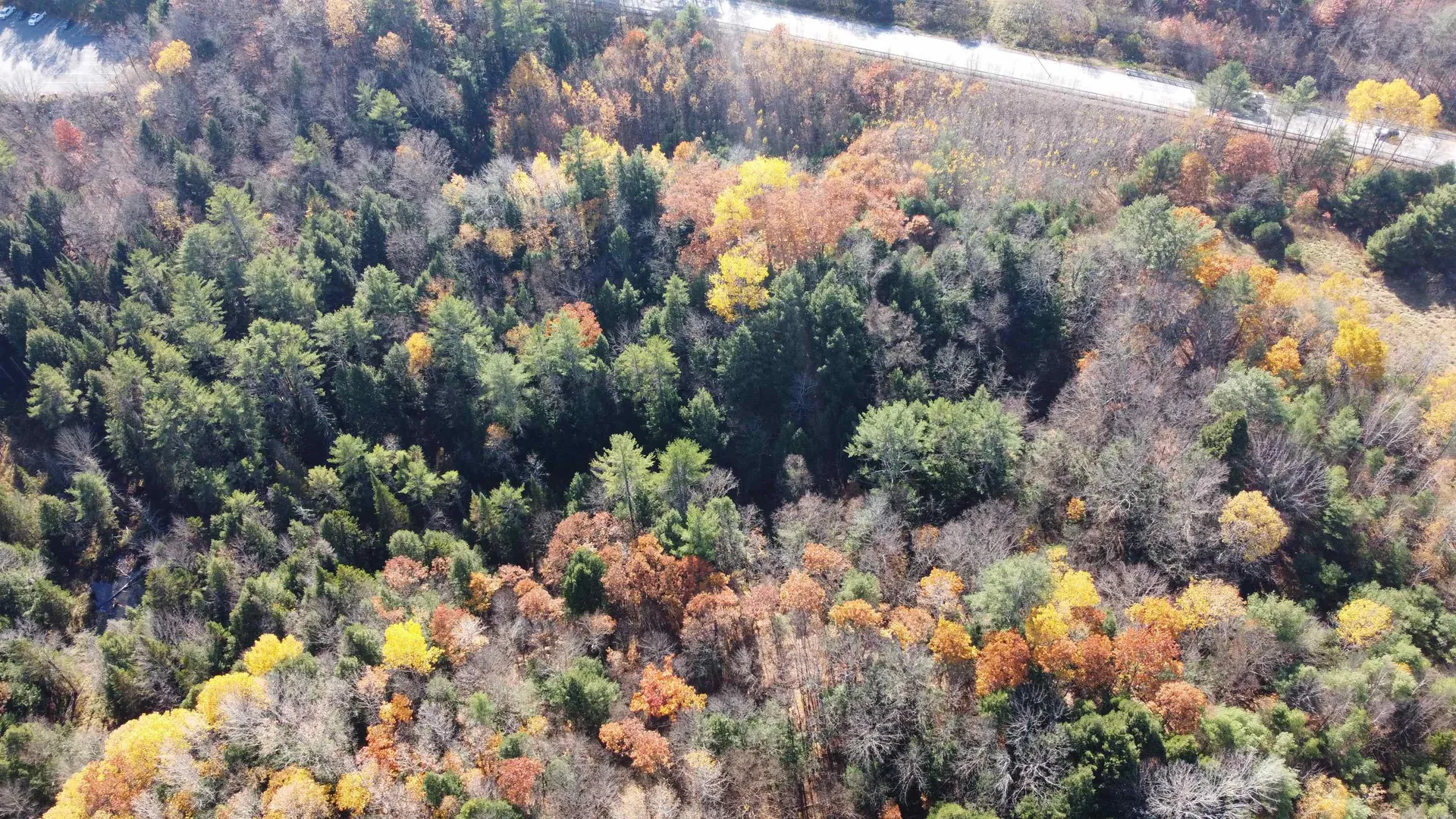 00 Route 302 Newbury VT 05051