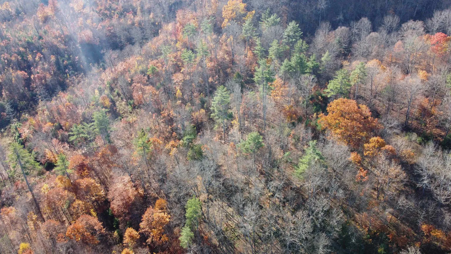 00 Route 302 Newbury VT 05051