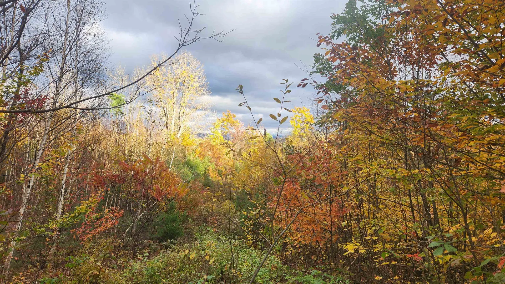 00 Route 302 Newbury VT 05051