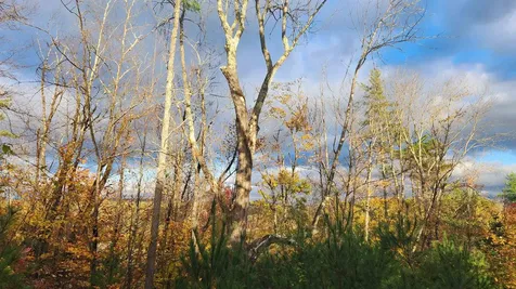 00 Route 302 Newbury VT 05051