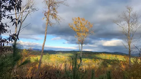 00 Route 302 Newbury VT 05051