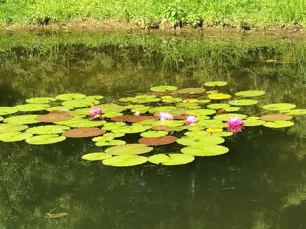 155 Owls Head Spur Stowe VT 05672