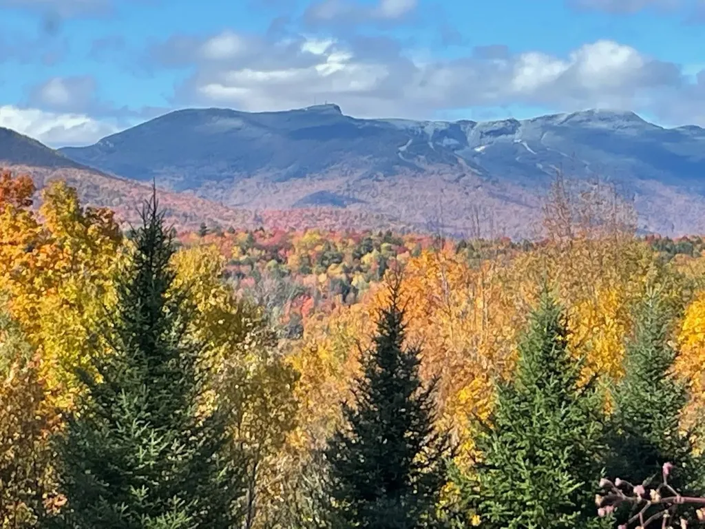 155 Owls Head Spur Stowe VT 05672