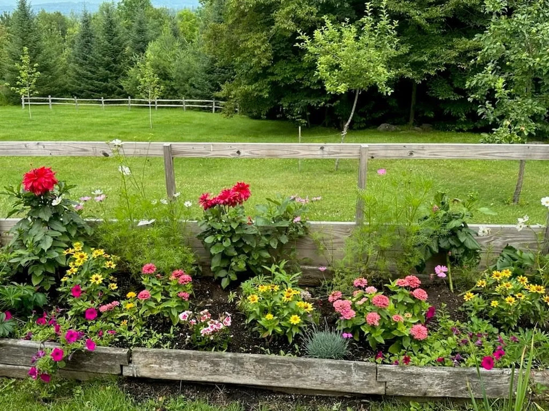 155 Owls Head Spur Stowe VT 05672