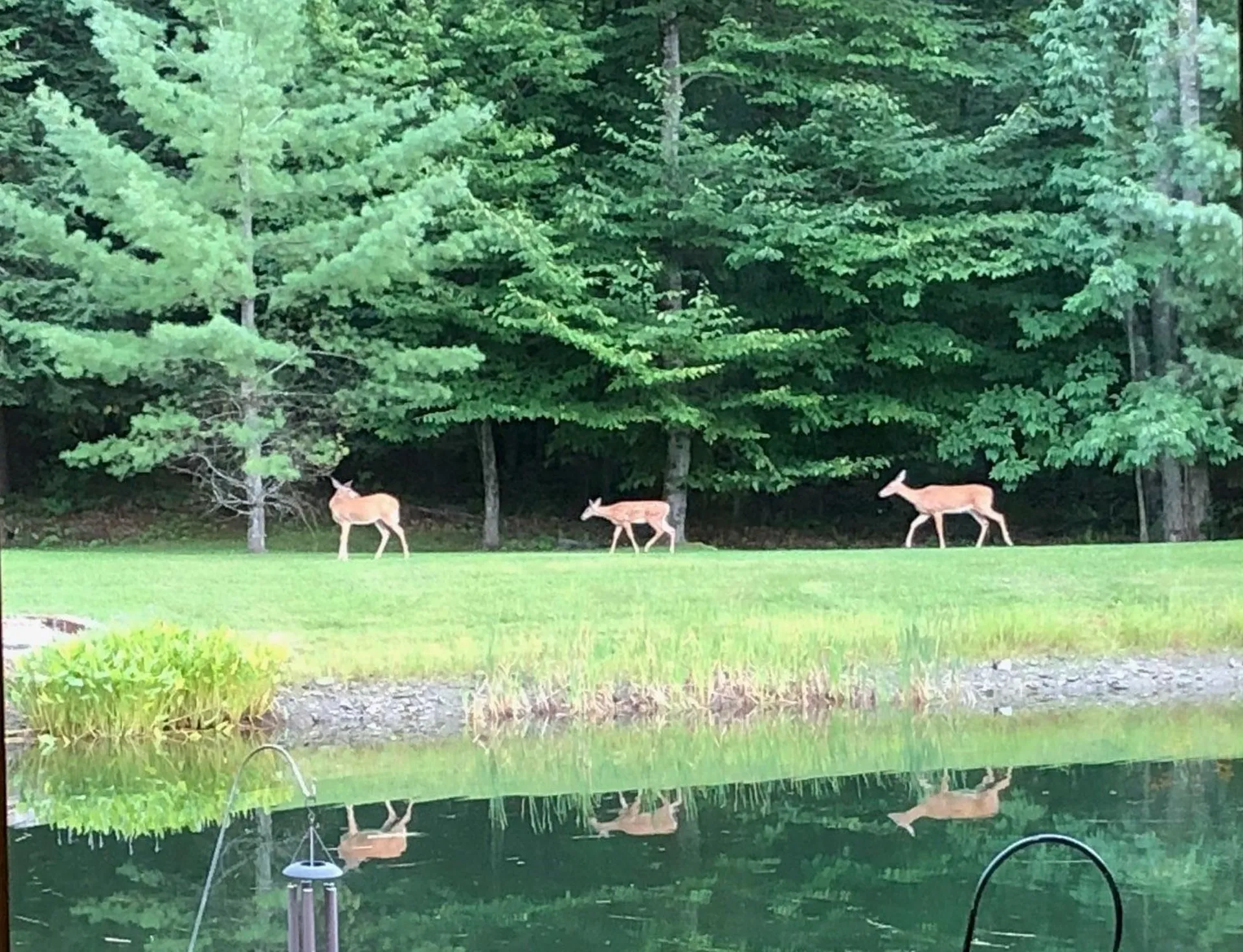 155 Owls Head Spur Stowe VT 05672