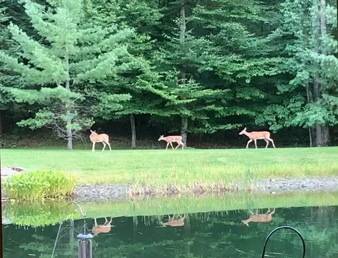 155 Owls Head Spur Stowe VT 05672