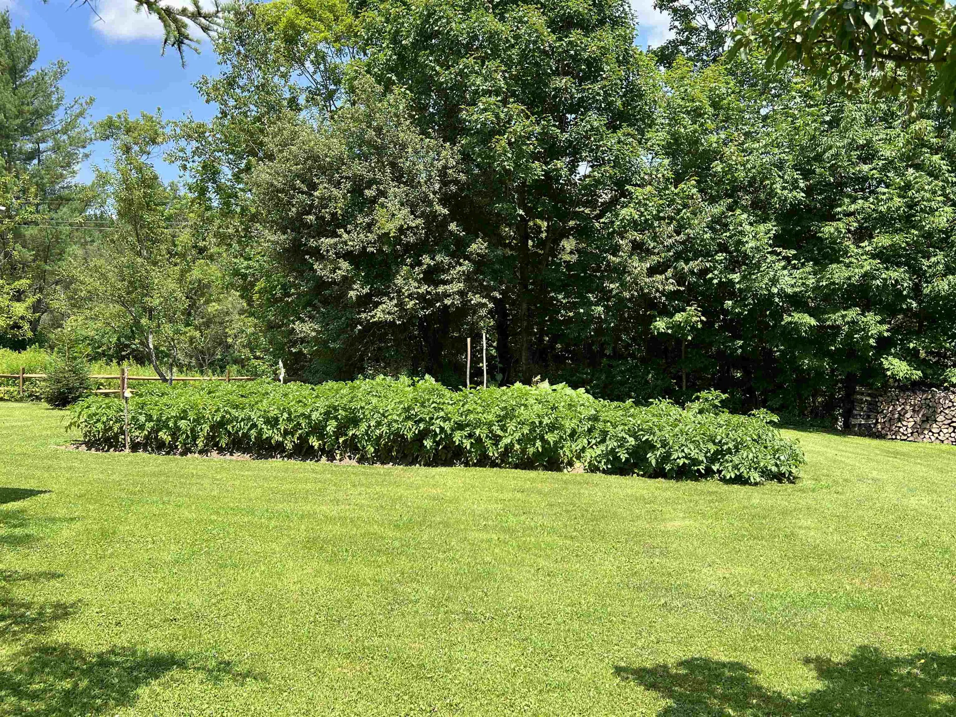 331 Shunpike Road Mount Holly VT 05758