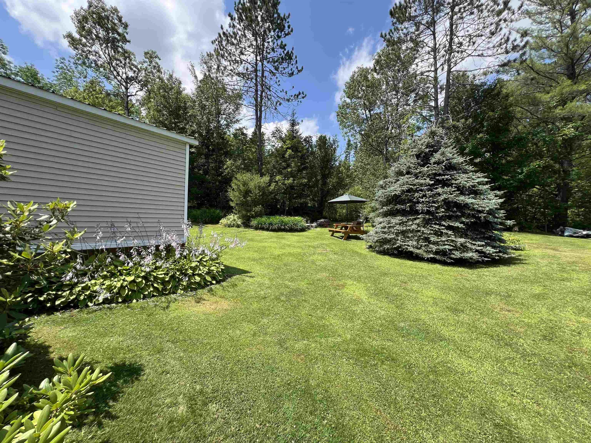 331 Shunpike Road Mount Holly VT 05758