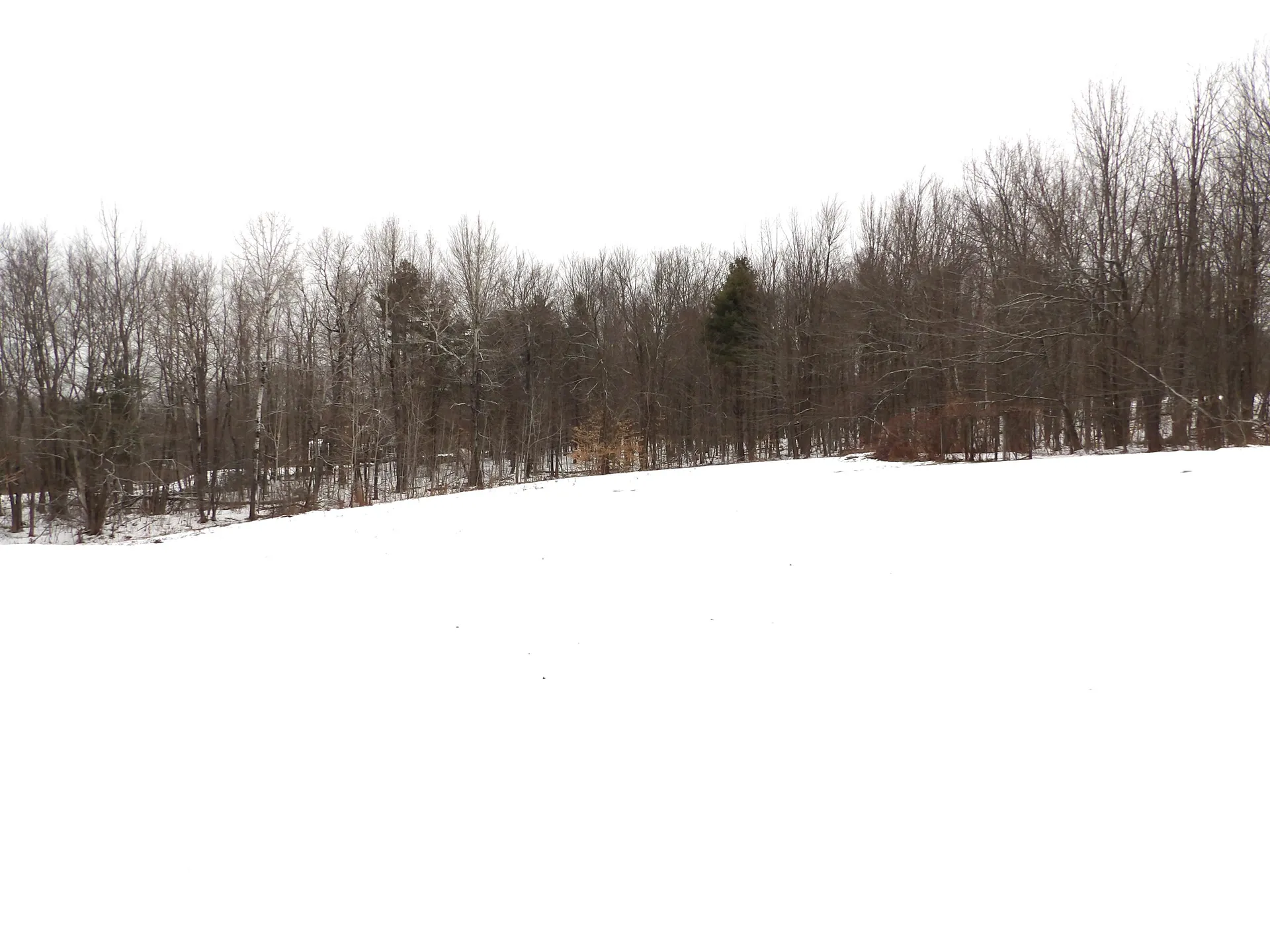 68 Taylor Road Sanbornton NH 03269-0