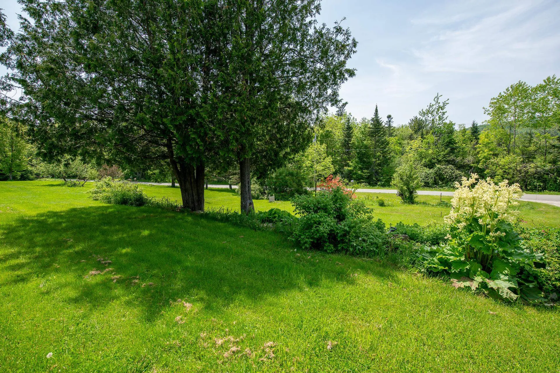 1614 Burbee Pond Road Windham VT 05359