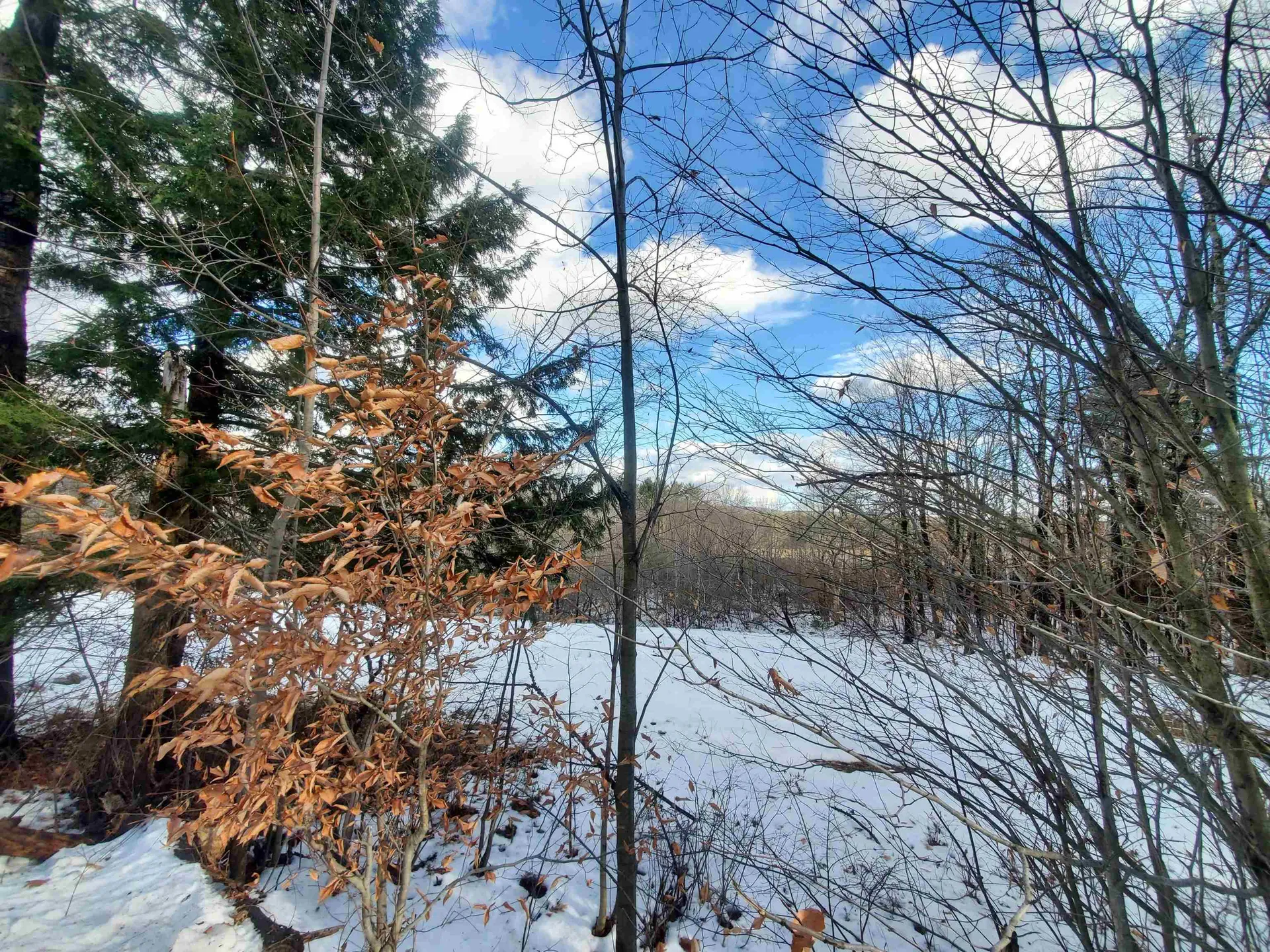 Lot 1 South Hemlock Road Charlestown NH 03603