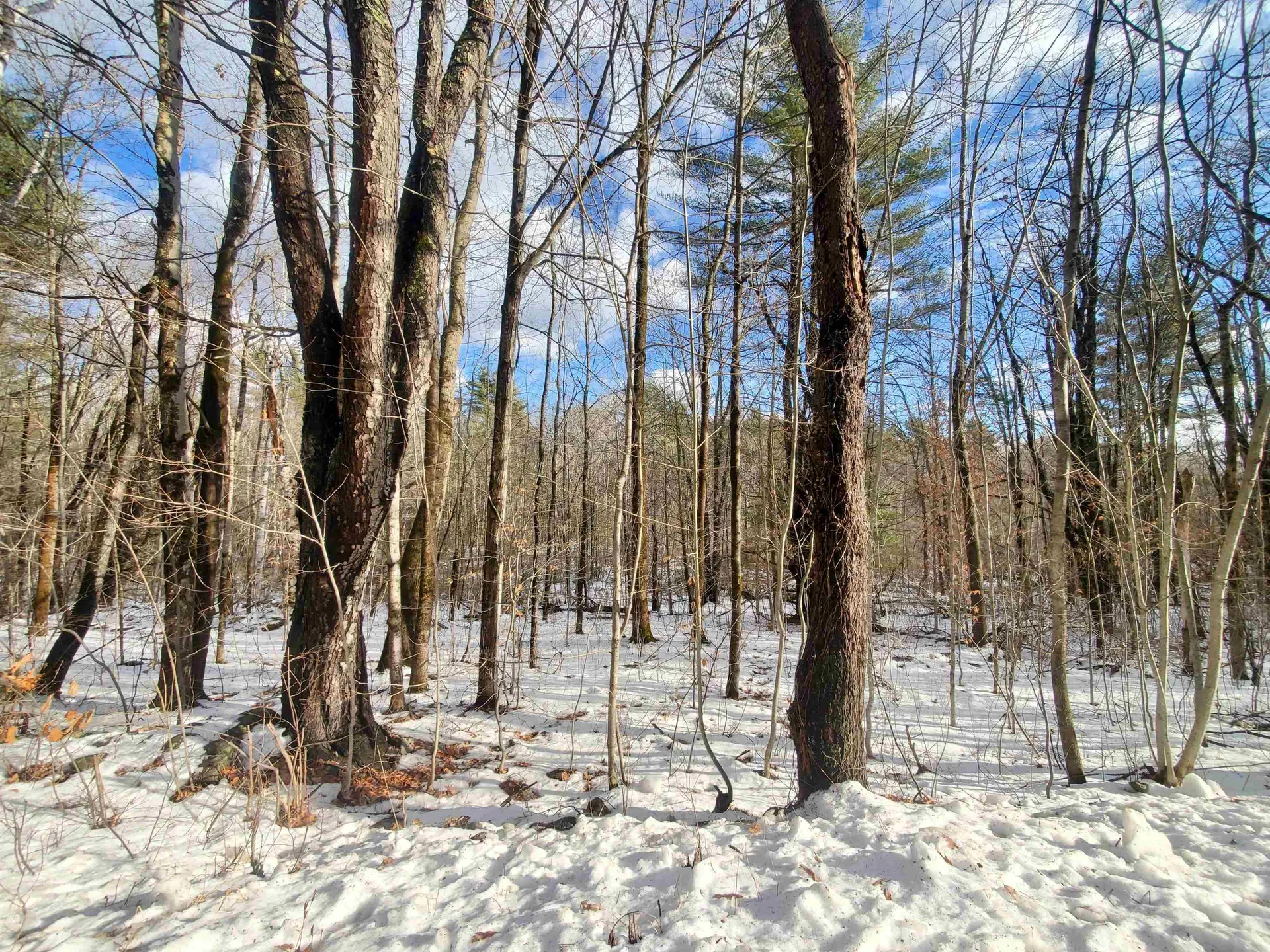 Lot 1 South Hemlock Road Charlestown NH 03603