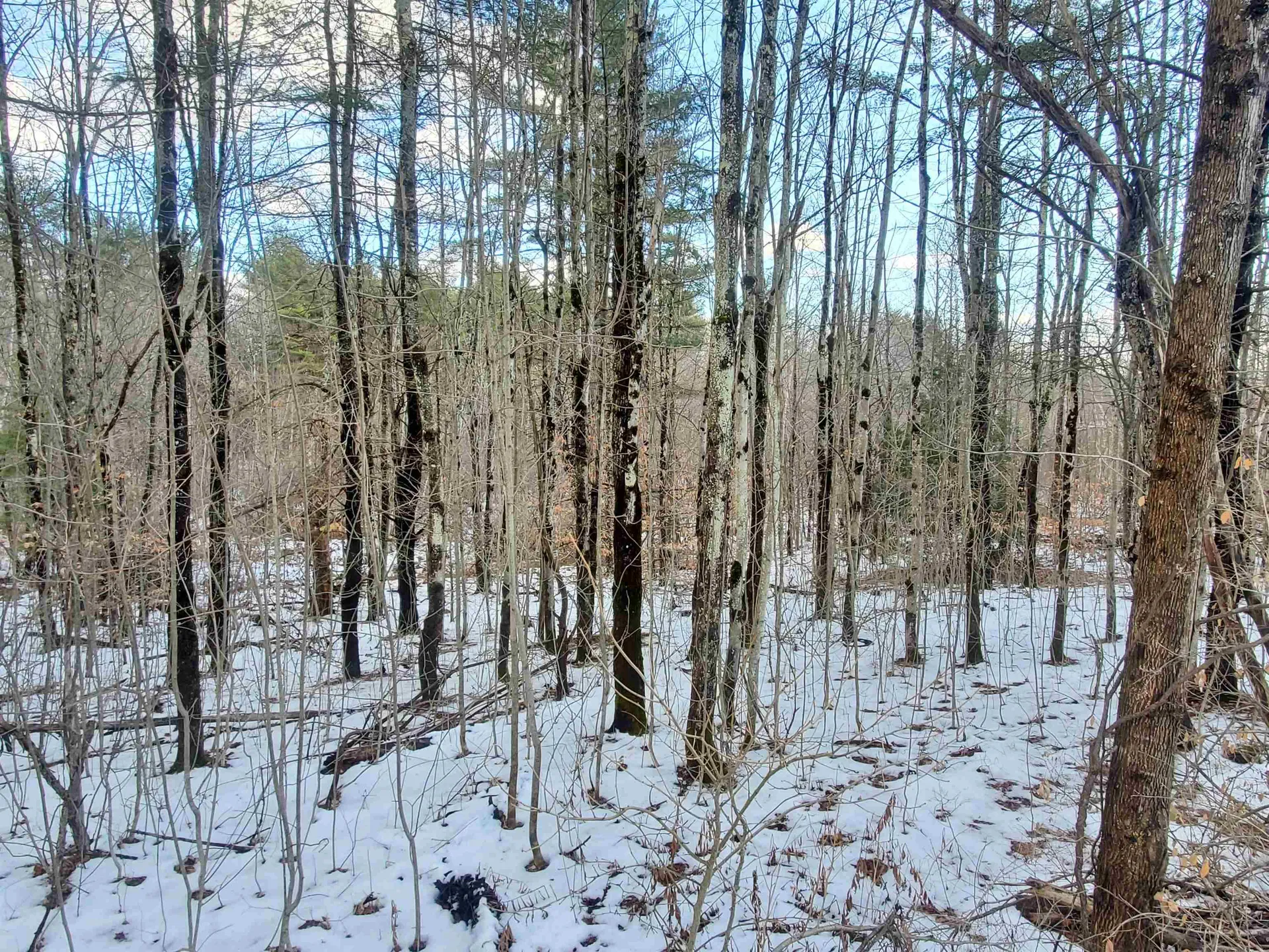 Lot 1 South Hemlock Road Charlestown NH 03603